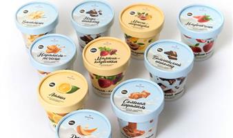 Инвестпроект ООО КОВТУН АЙС: крафтовое мороженое, выручка 50–60 млн