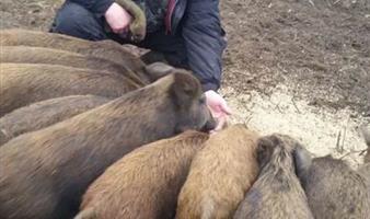 Продам Охотхозяйство идеально расположенное.